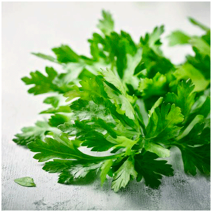 Lemongrass Natural flavour Oilsoluble